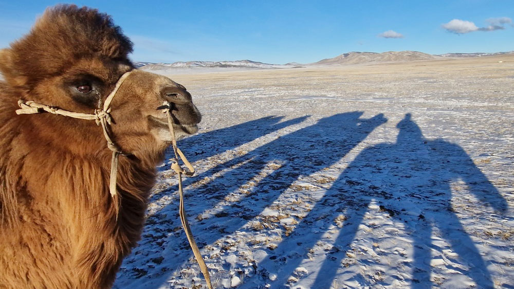 23. Festiwal TERRA – Zimowa Mongolia w dźwiękach końskiej grzywy