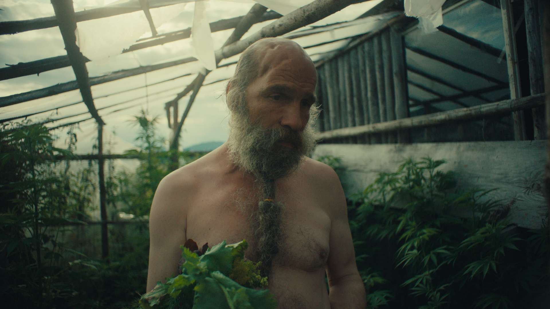 23. MDAG: Dzikie szaleństwo