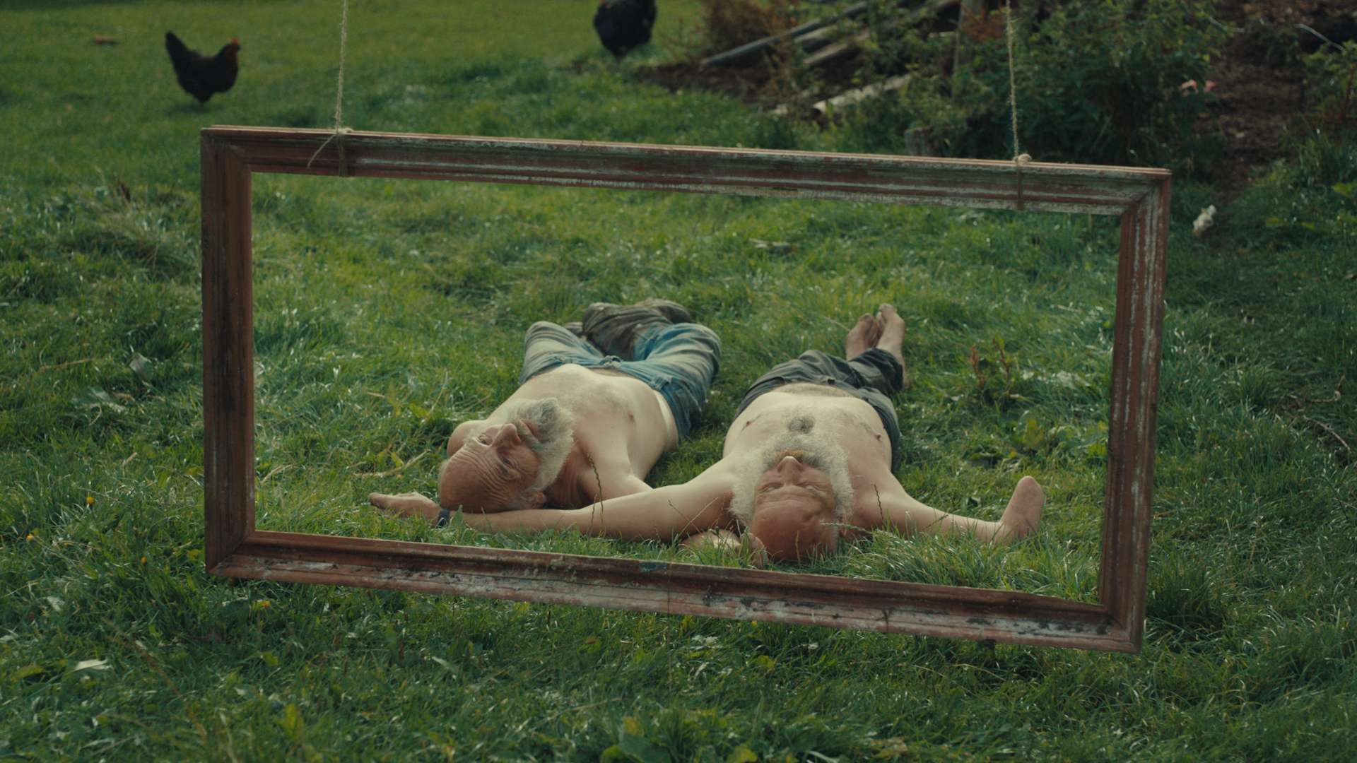 23. MDAG: Dzikie szaleństwo