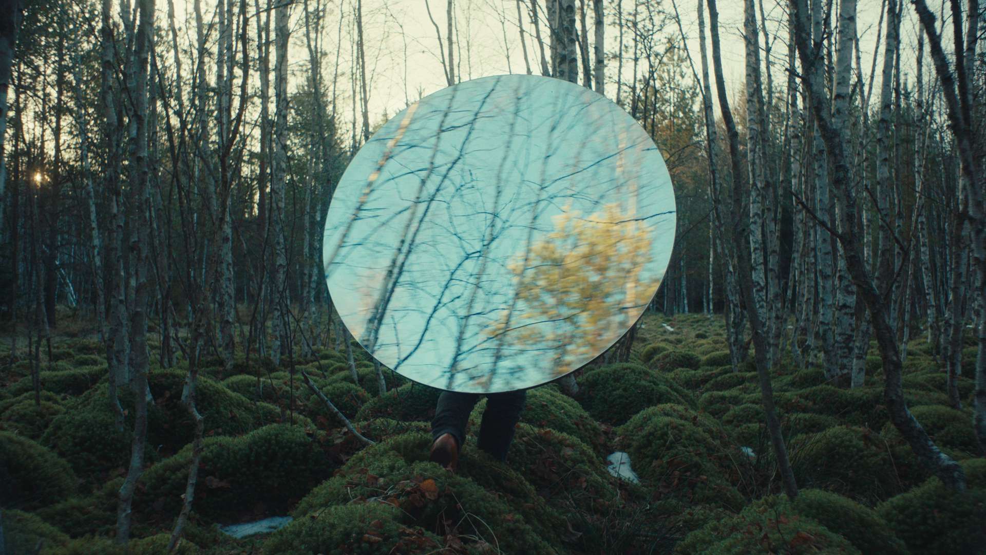 23. MDAG: Dzikie szaleństwo