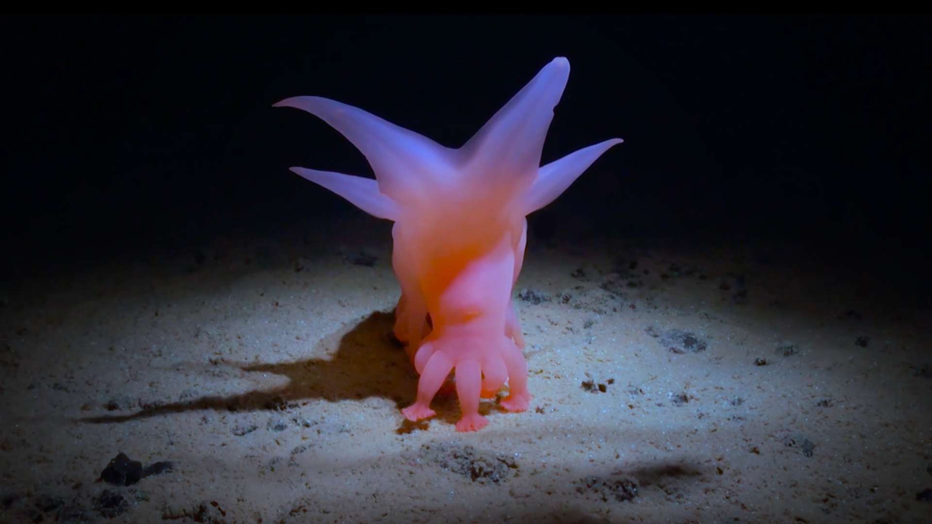 23. MDAG: Jak głęboka jest twoja miłość?