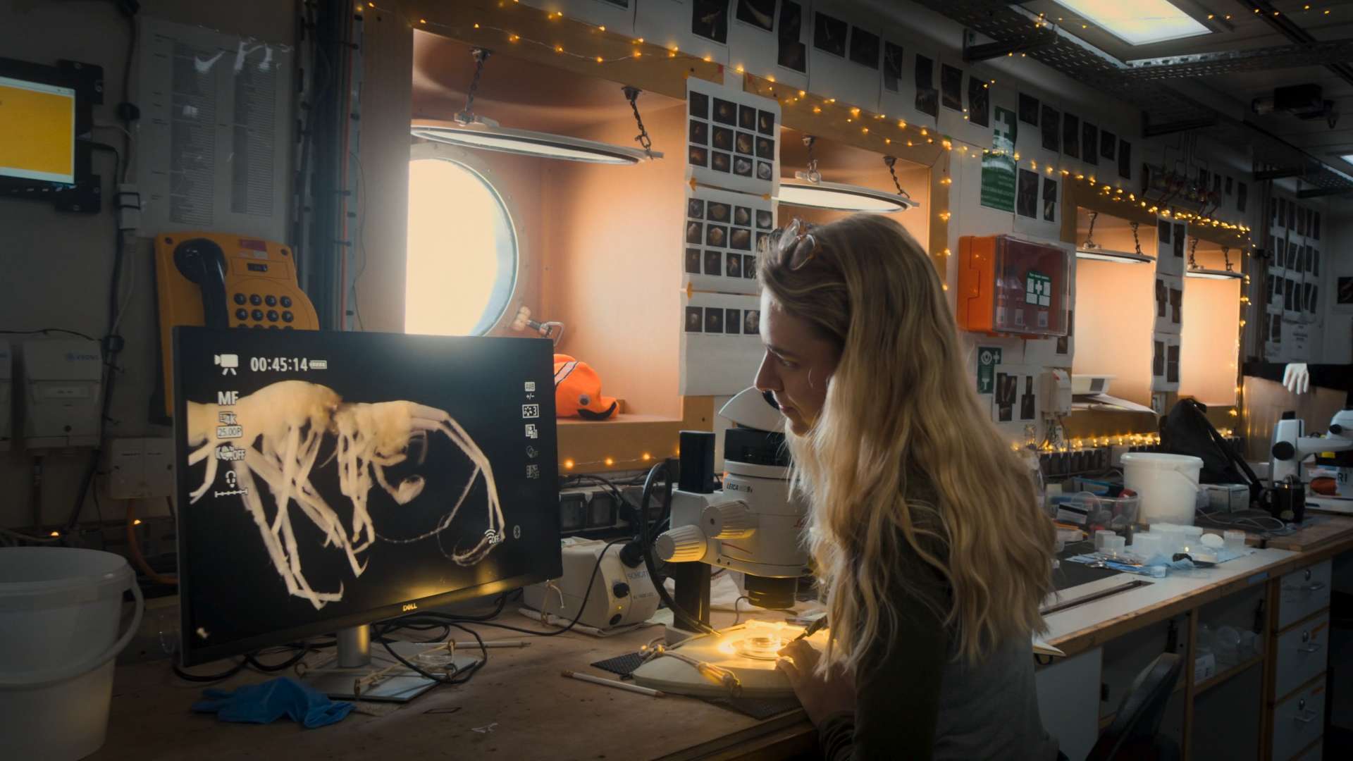 23. MDAG: Jak głęboka jest twoja miłość?