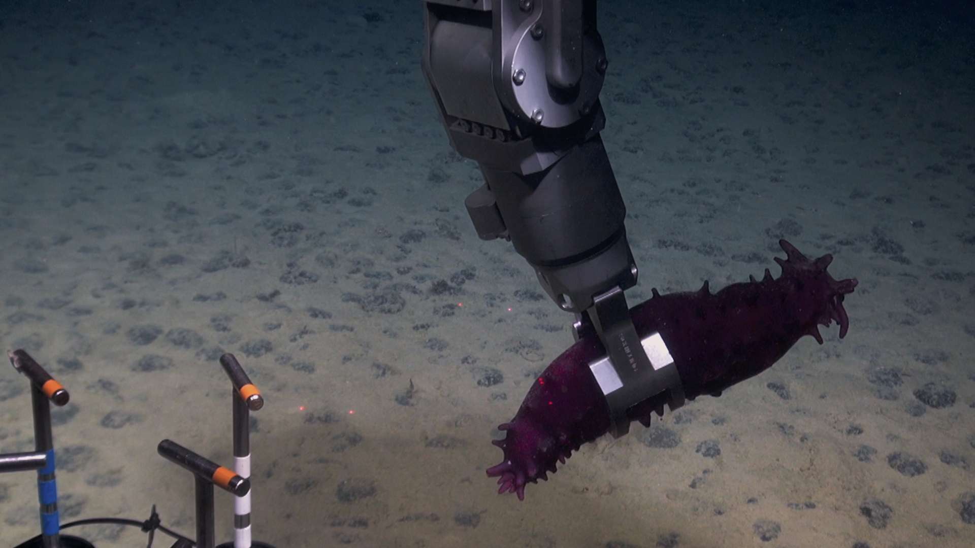 23. MDAG: Jak głęboka jest twoja miłość?