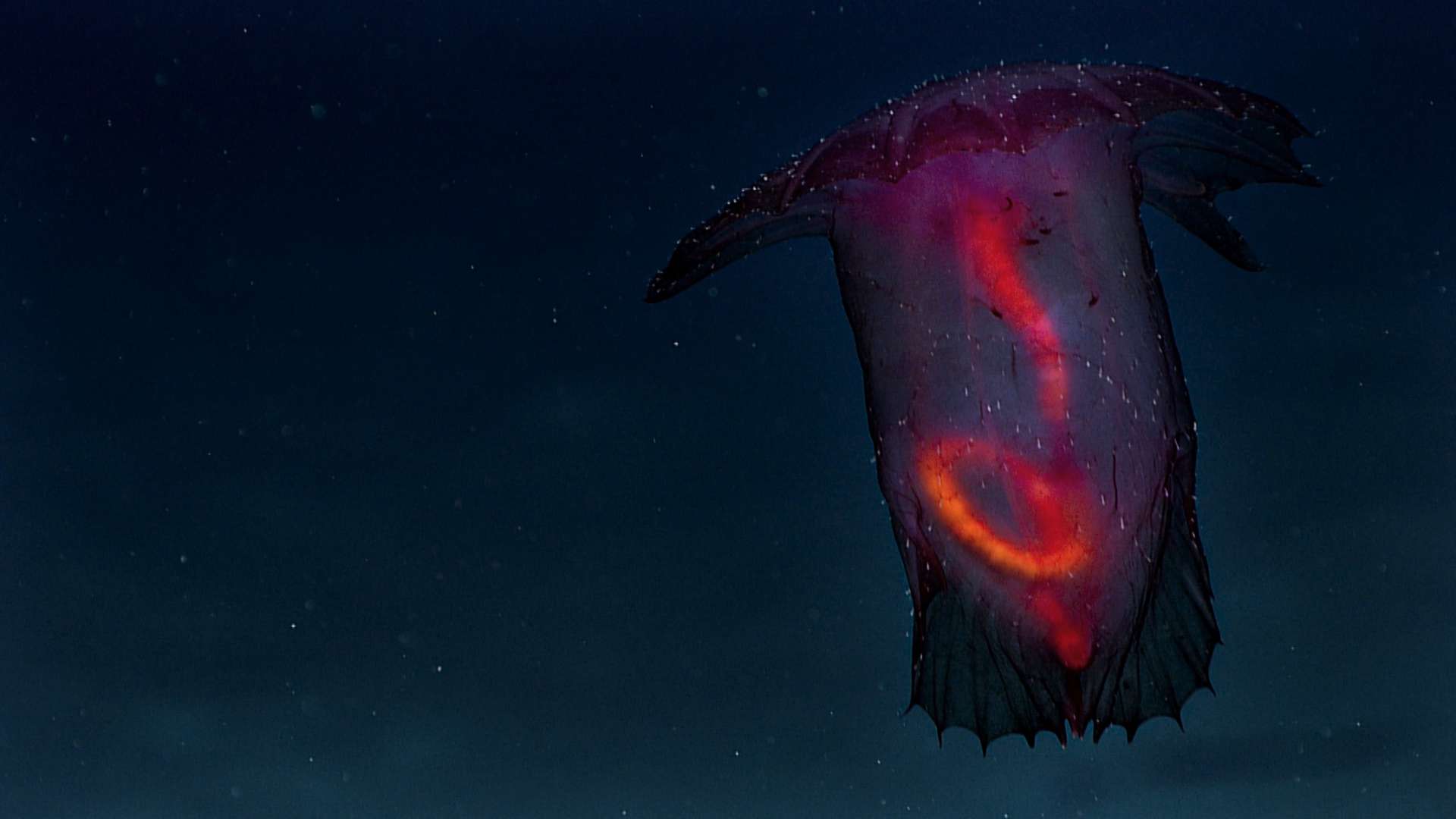 23. MDAG: Jak głęboka jest twoja miłość?