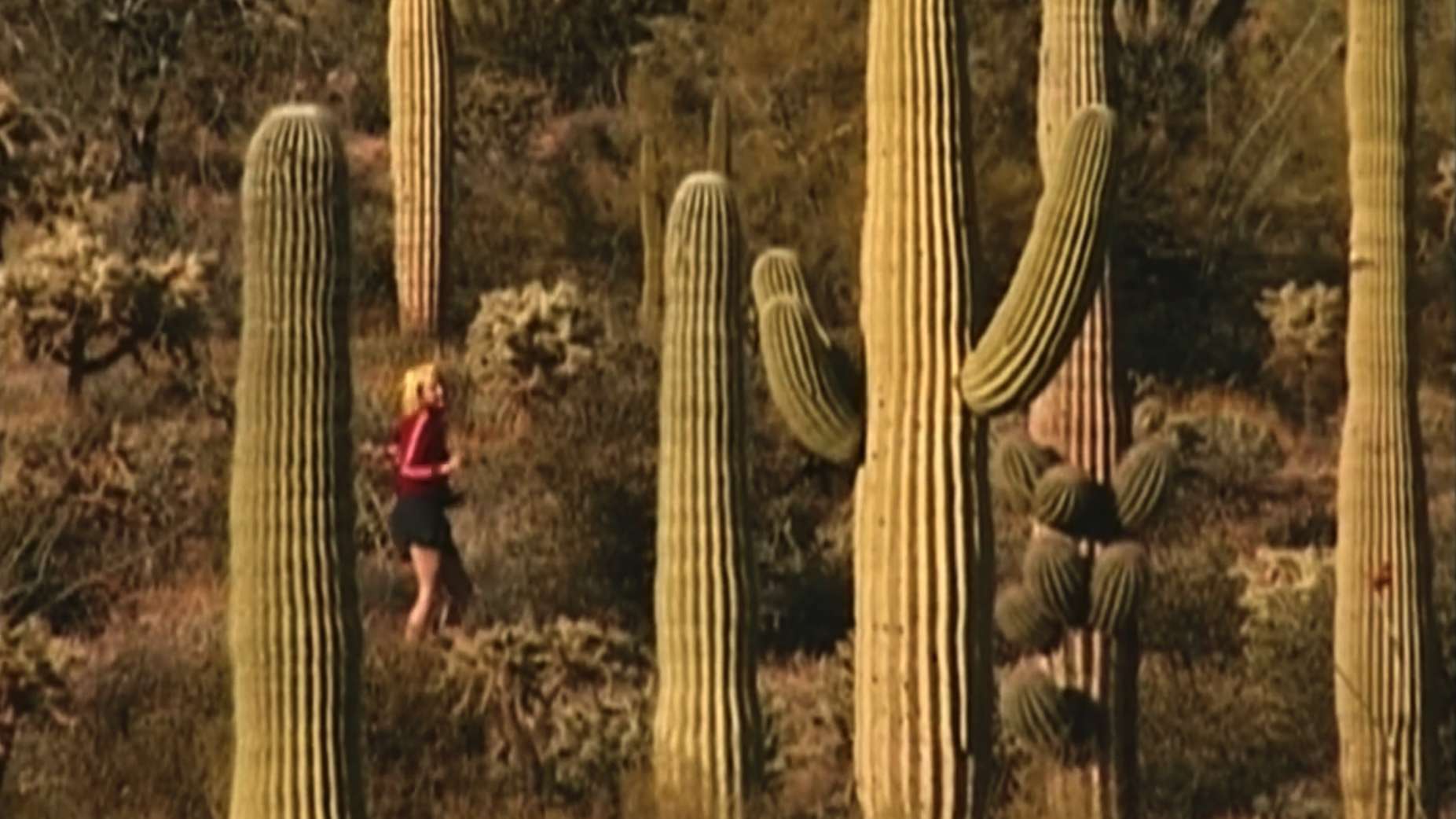 23. MDAG: Love-22-Love