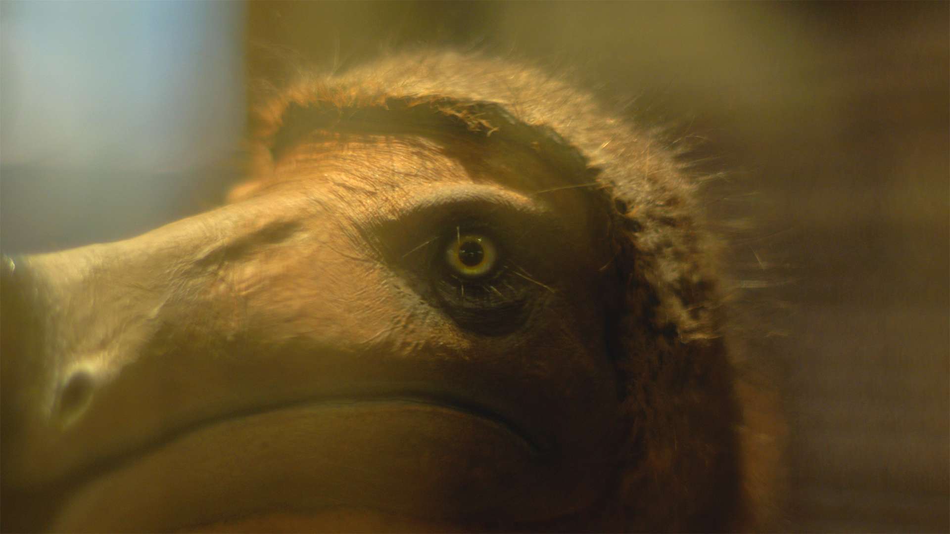 23. MDAG: Małe, duże i daleko