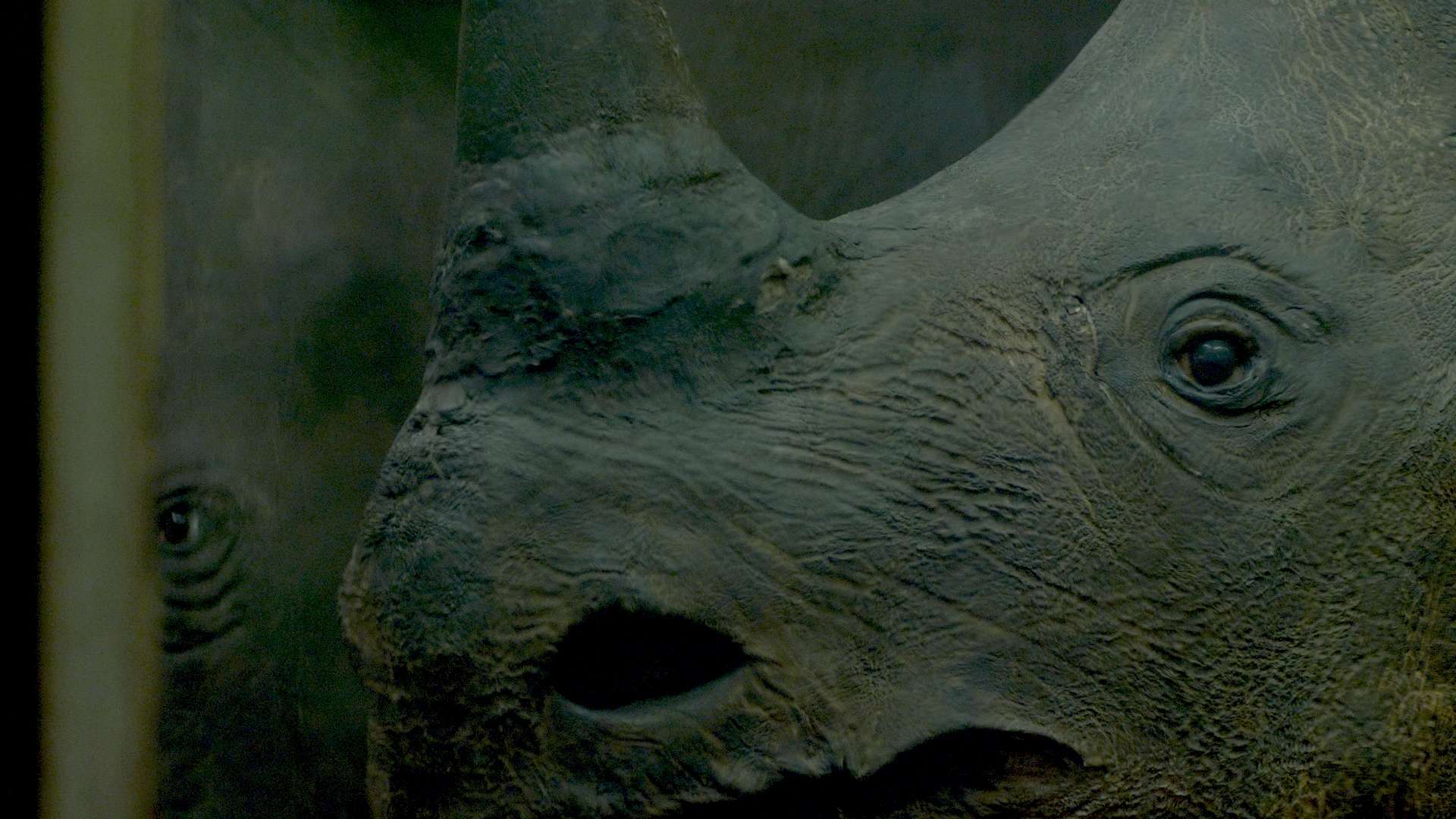 23. MDAG: Małe, duże i daleko