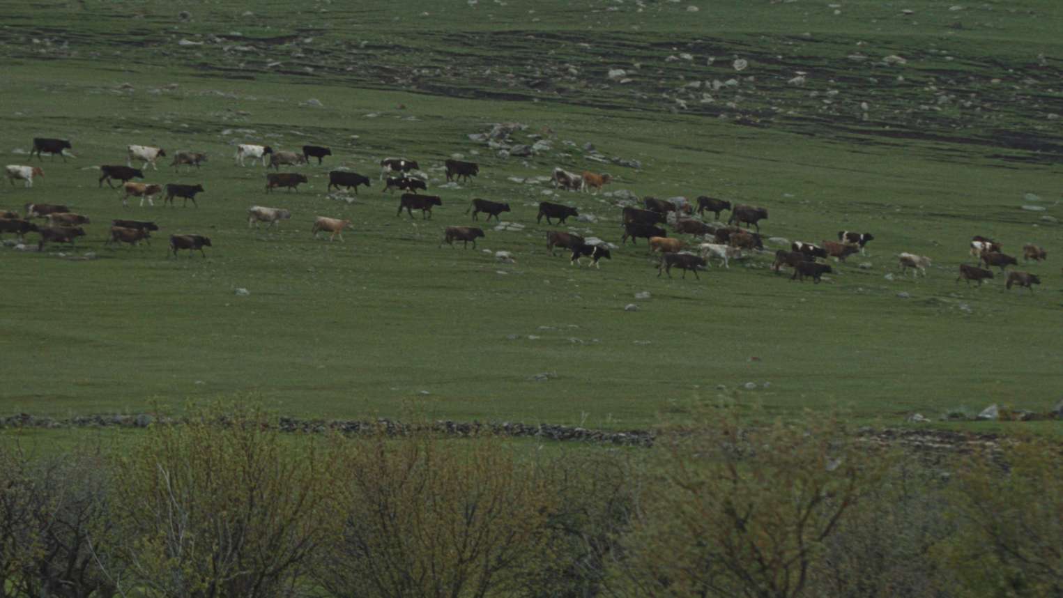 23. MDAG: Ogień w nas