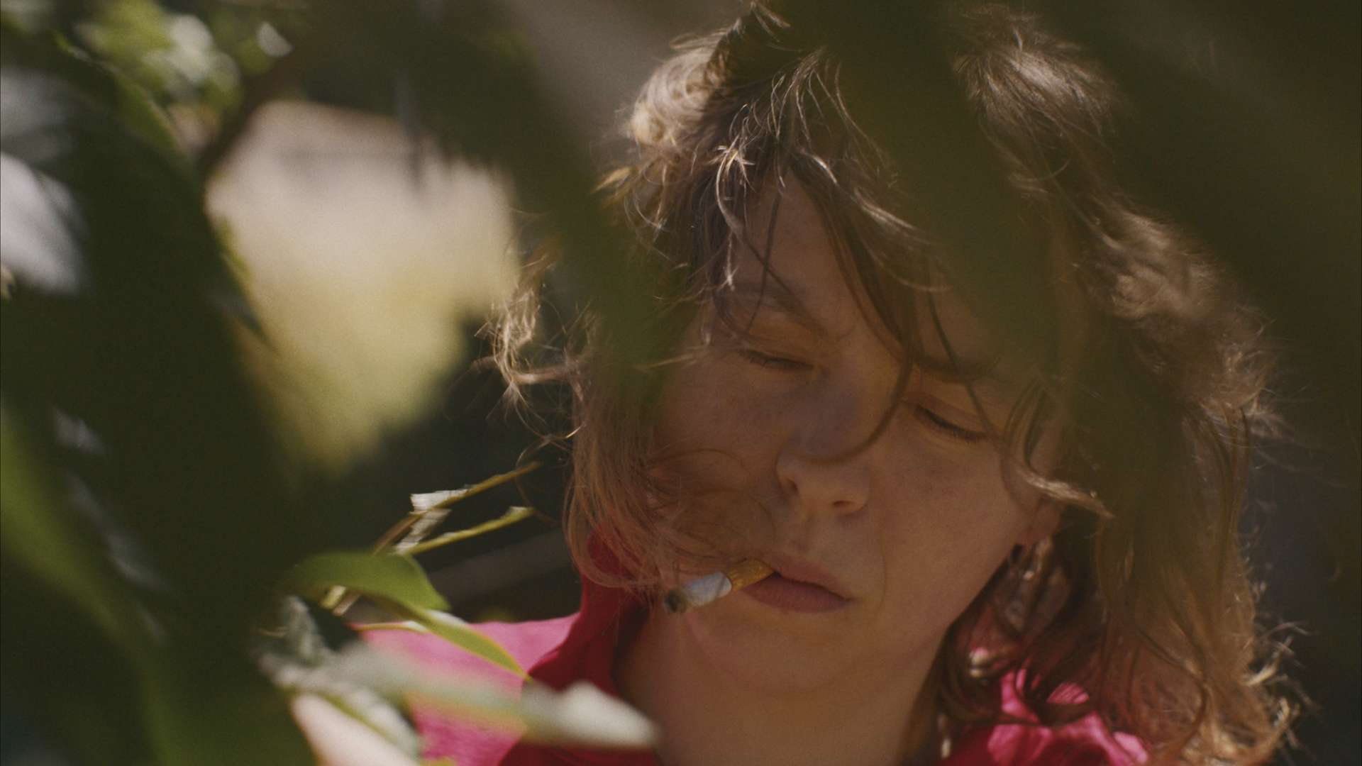 23. MDAG: Piękny rok