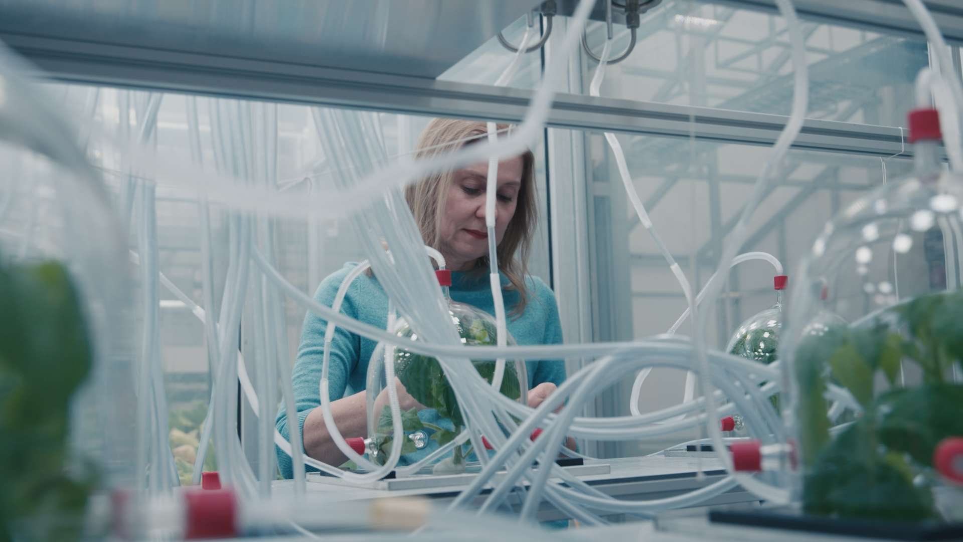 23. MDAG: Sekretne życie roślin