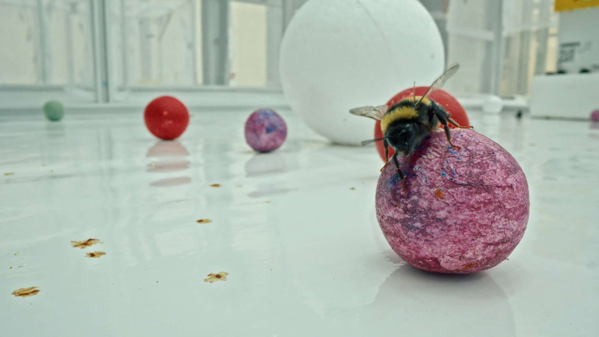 23. MDAG: Sekretne życie roślin