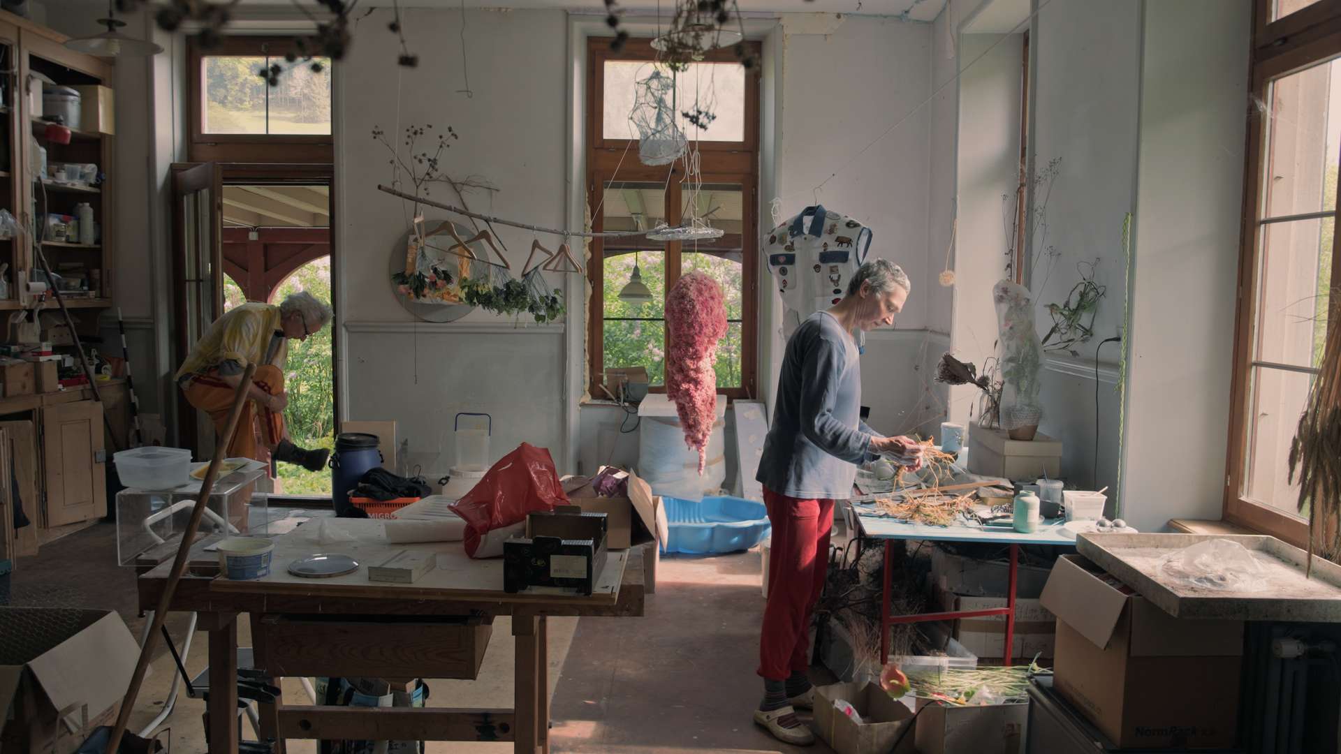 23. MDAG: Sekretne życie roślin