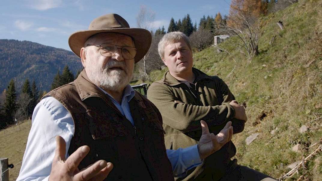 23. MDAG: Szukając równowagi