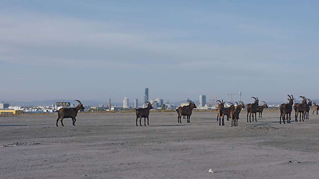 23. MDAG: Szukając równowagi