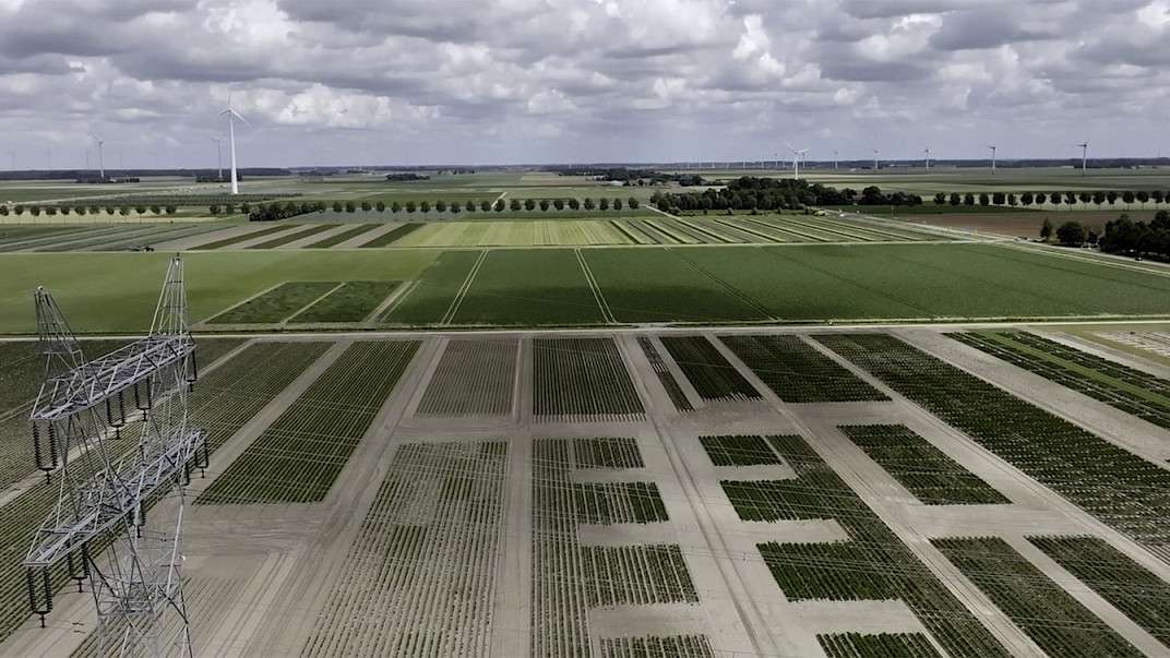 23. MDAG: Szukając równowagi