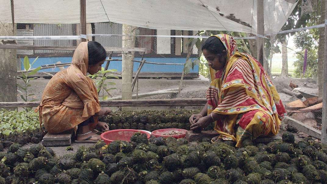 23. MDAG: Szukając równowagi