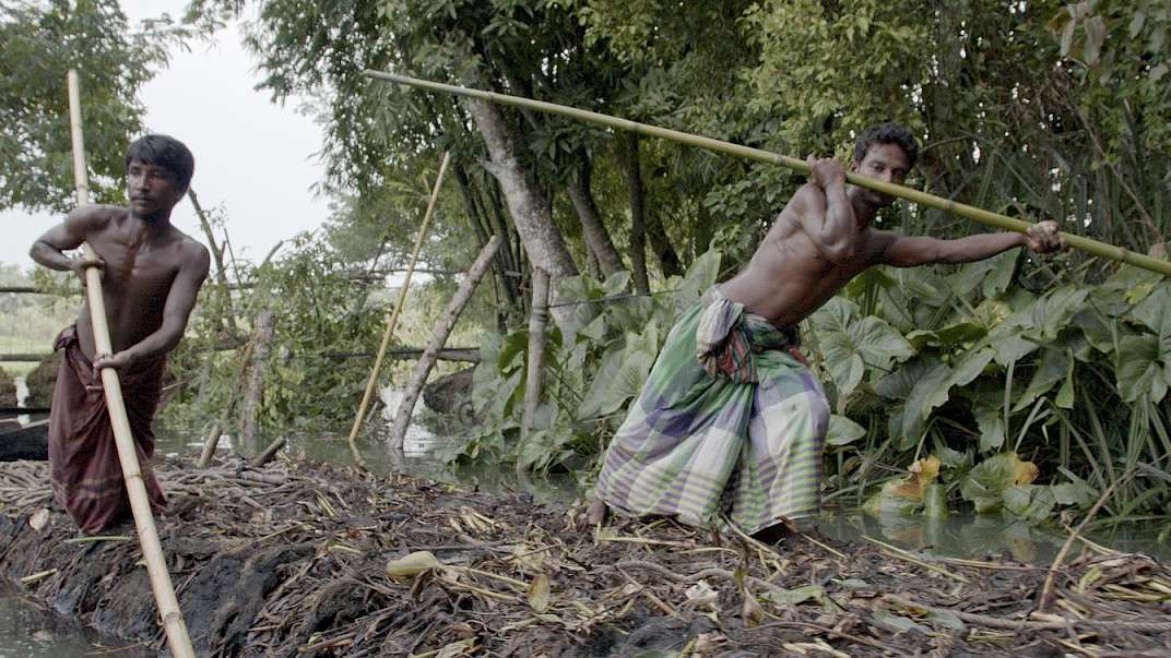 23. MDAG: Szukając równowagi