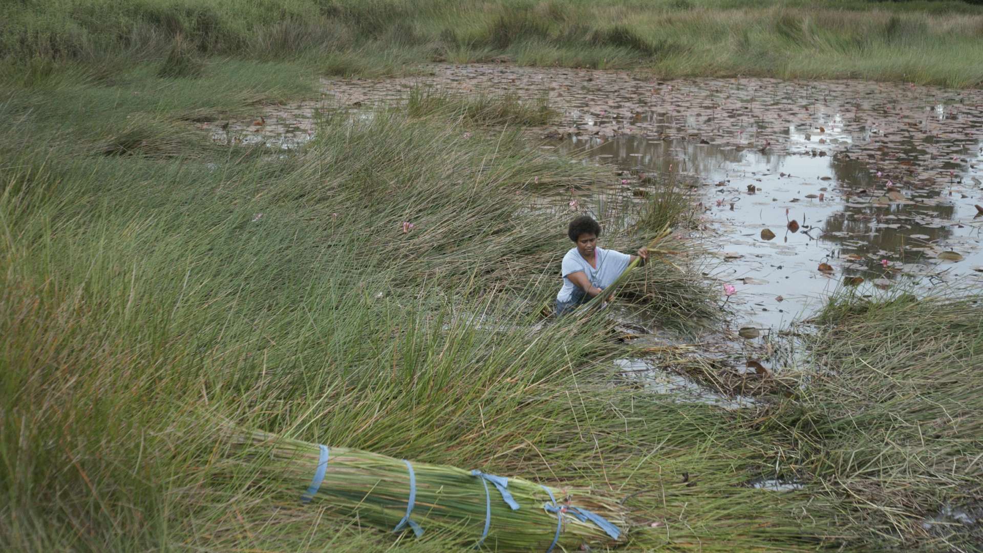 23. MDAG: U źródła światła – 11 pieśni dla Fidżi