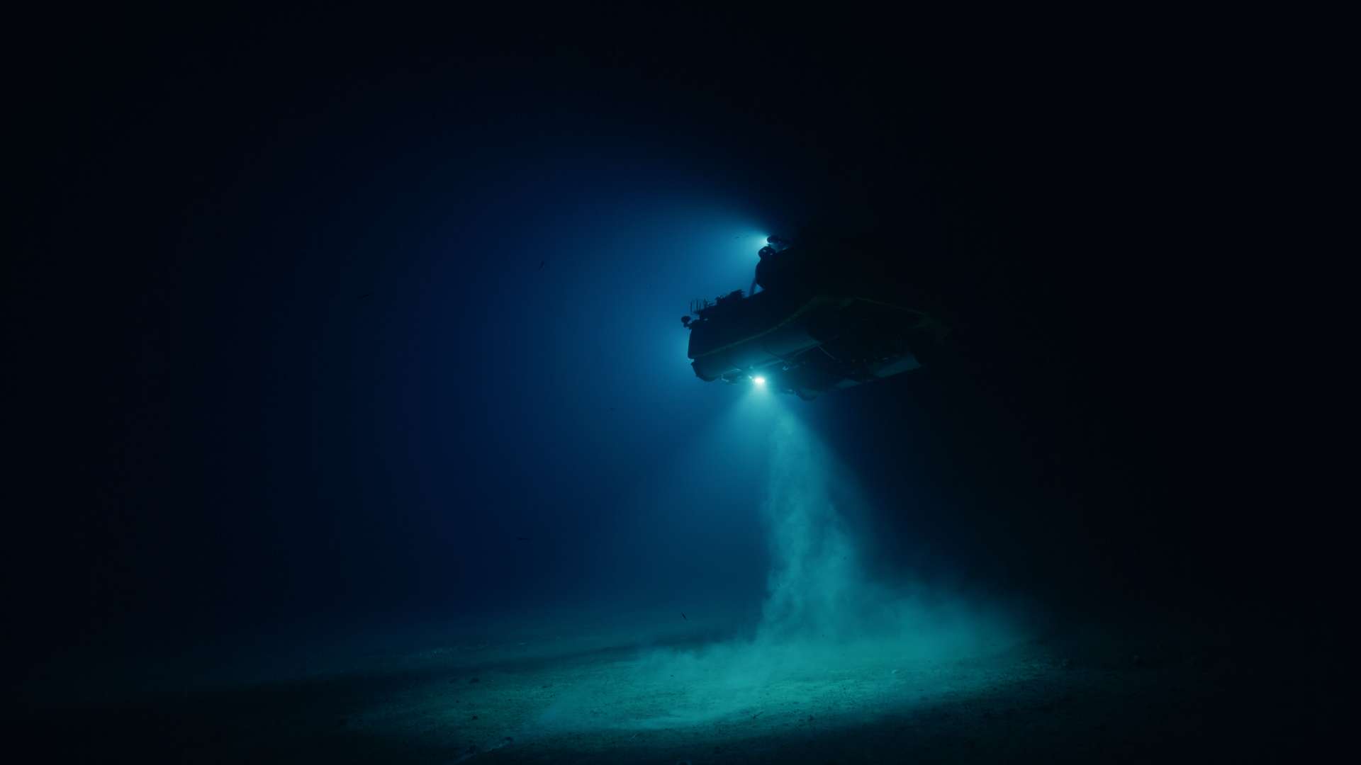 23. MDAG: Wszystko, co się świeci