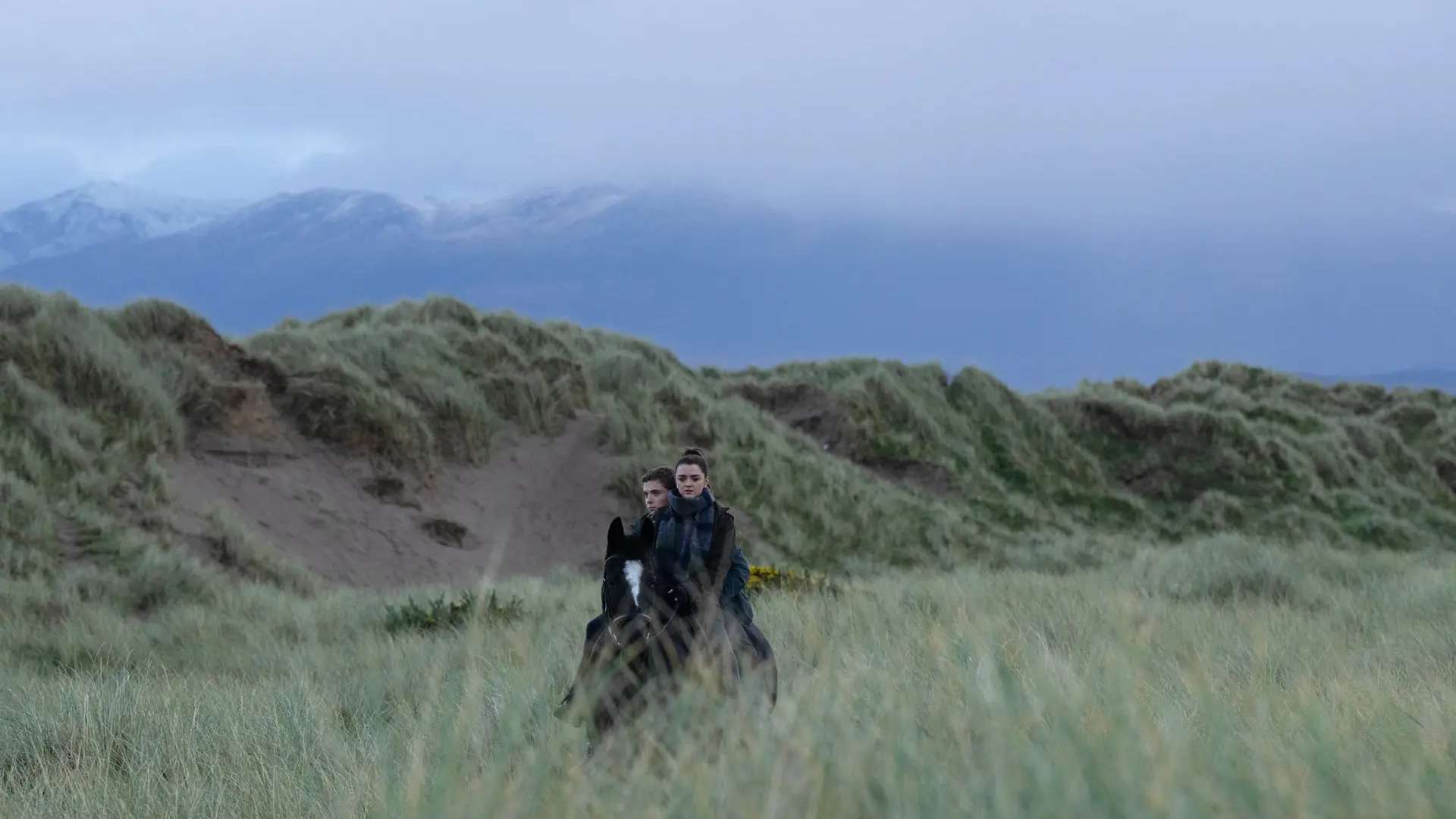 Best Film on Tour: 500 mil