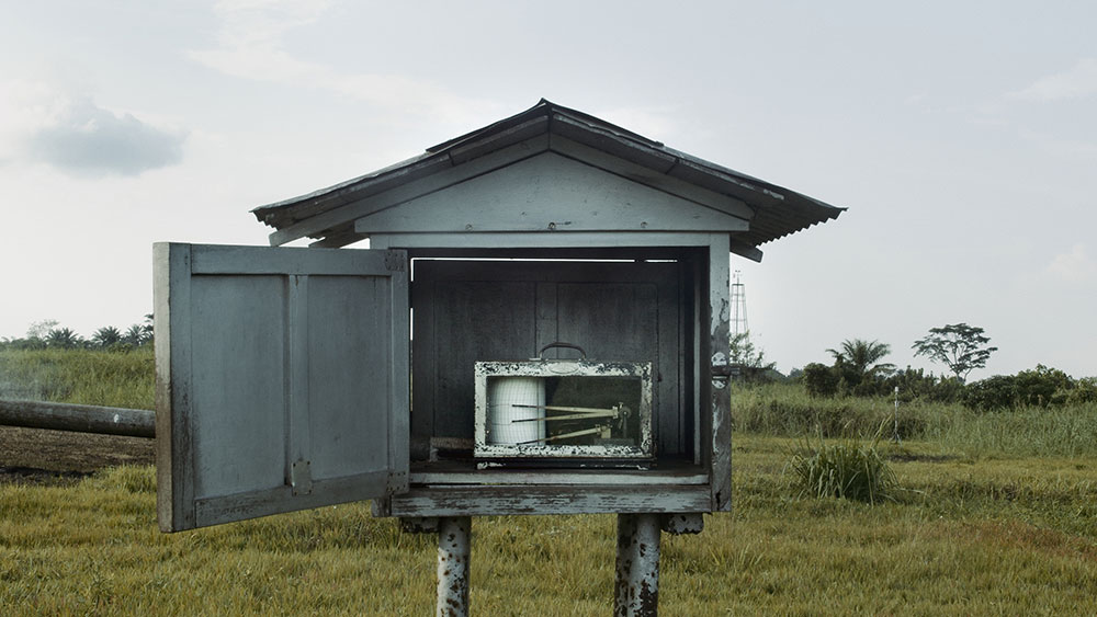 AfryKamera: Drzewo autentyczności