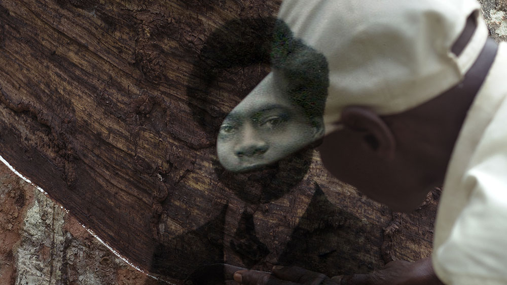 AfryKamera: Drzewo autentyczności