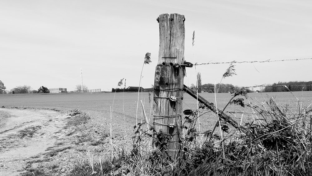 AfryKamera: Drzewo autentyczności