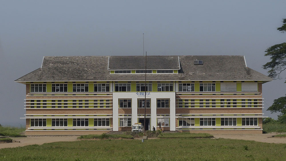 AfryKamera: Drzewo autentyczności