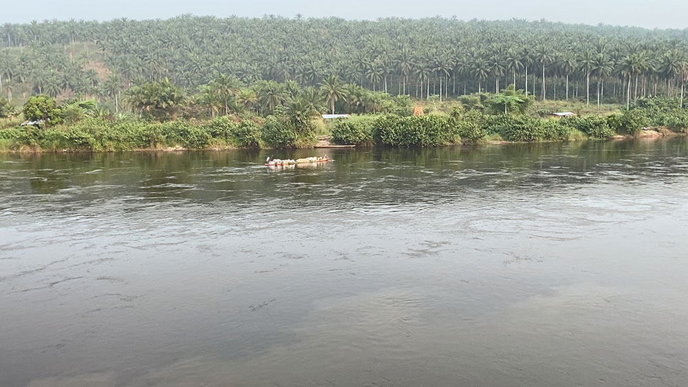 AfryKamera: Drzewo autentyczności
