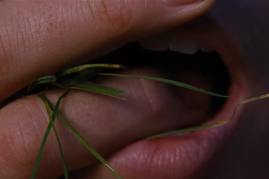 Before walentynkowy ze Zwierciadłem i filmem „Wichrowe wzgórza”