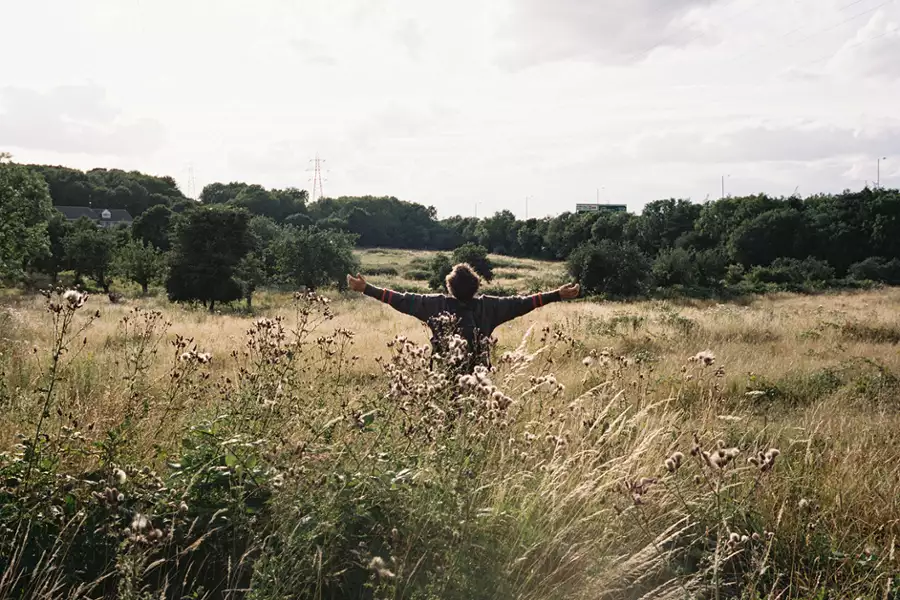 Spotkania Filmowe: Bird