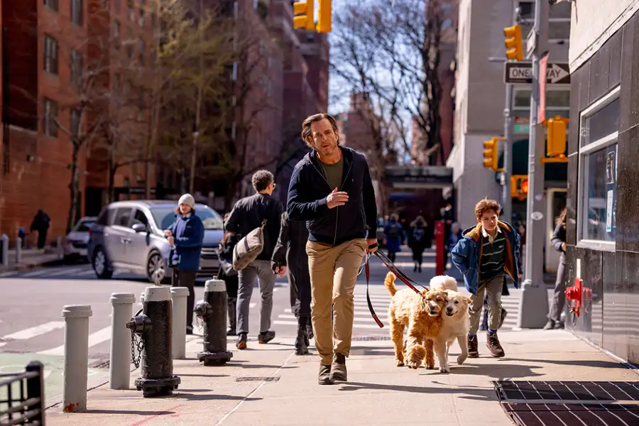 Czy mnie słychać? - napisy