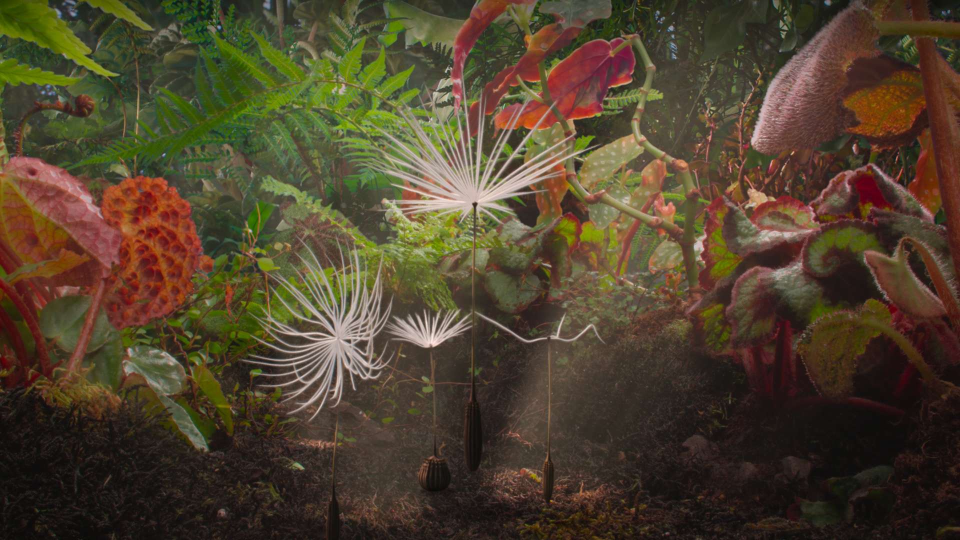 Dmuchawce - pokaz specjalny przyjazny sensorycznie z Dzikoprzygodami!