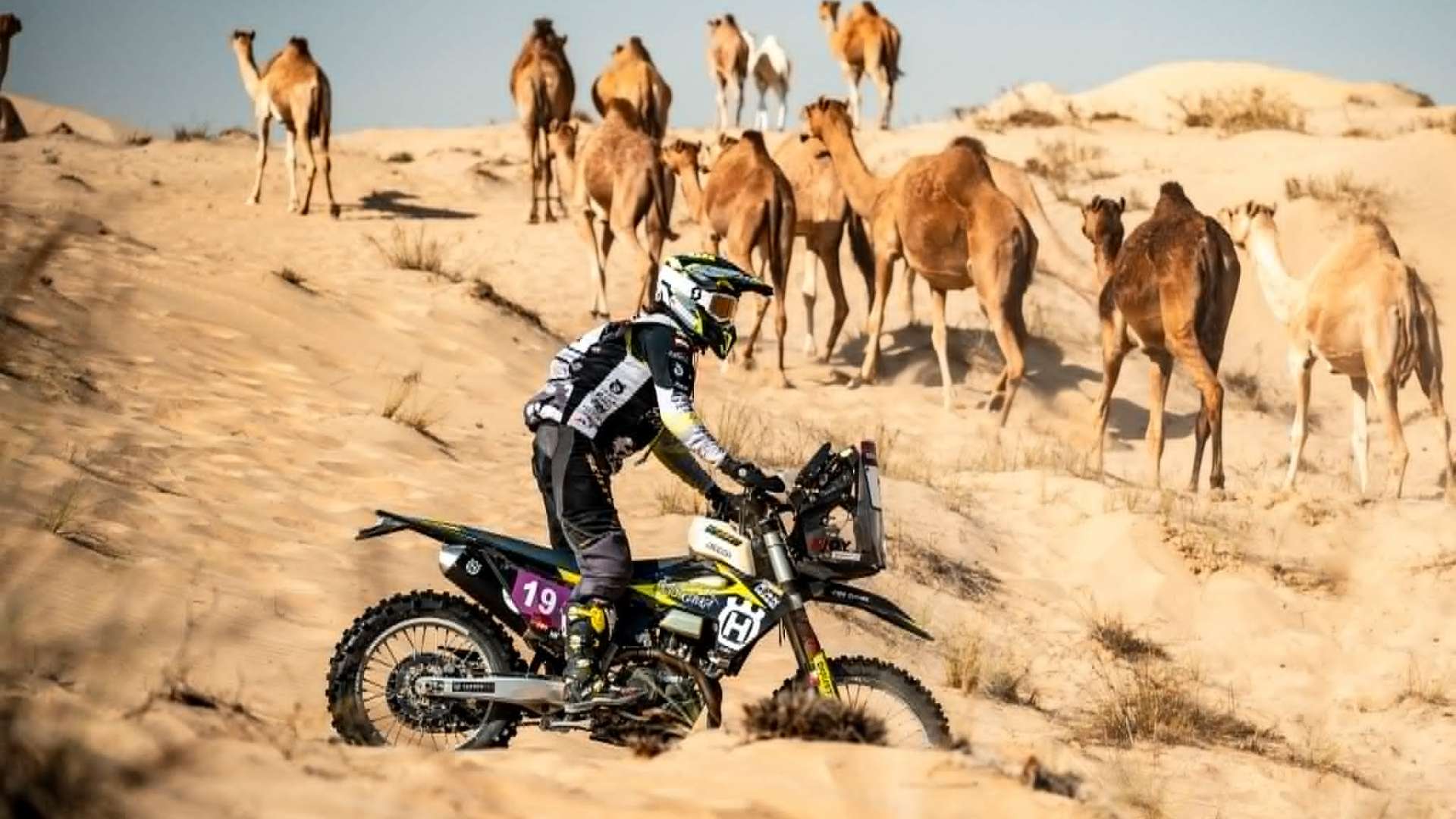 Dobra Nocka ADV: Baja z Makaronem