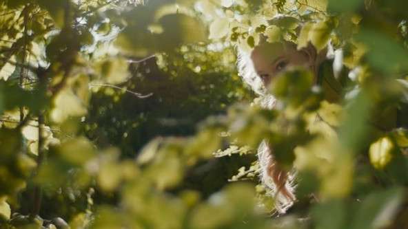 Drzewo magii - przedpremiera