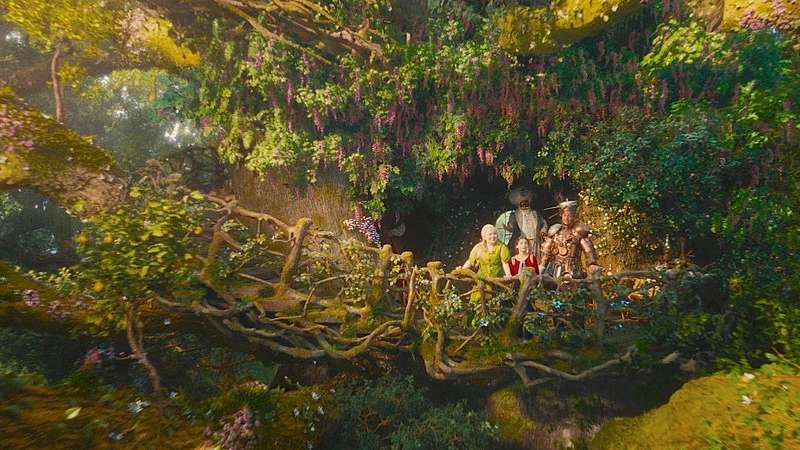 Drzewo magii - przedpremiera