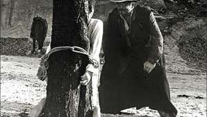 KINO NIEPOKORNE: Eukaliptus + spotkanie z twórcami | 50 na 51