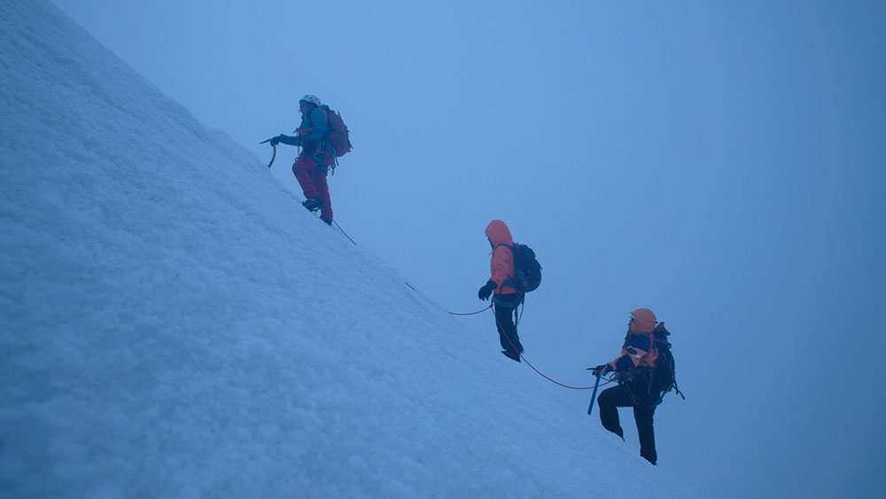 Wild Aerial, Guerreras