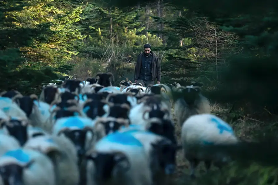 FILMOTERAPIA w kinie Wisła: BEZ PRZEBACZENIA + spotkanie z reżyserem