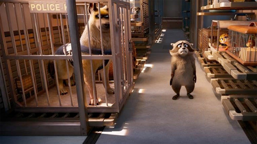 FILMOWE FERIE: SZYBCY I SPRYTNI