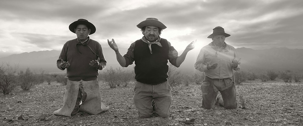 Gaucho Gaucho - napisy