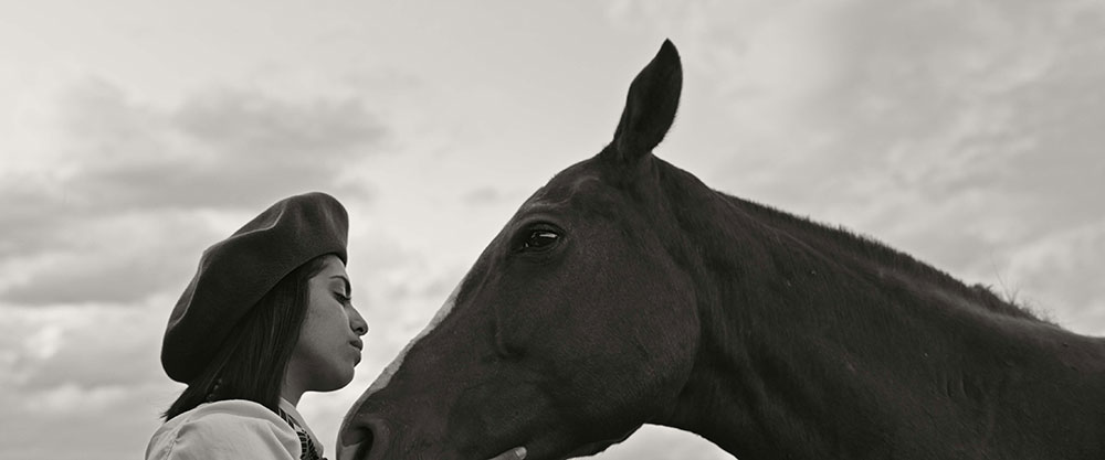 Gaucho Gaucho - napisy