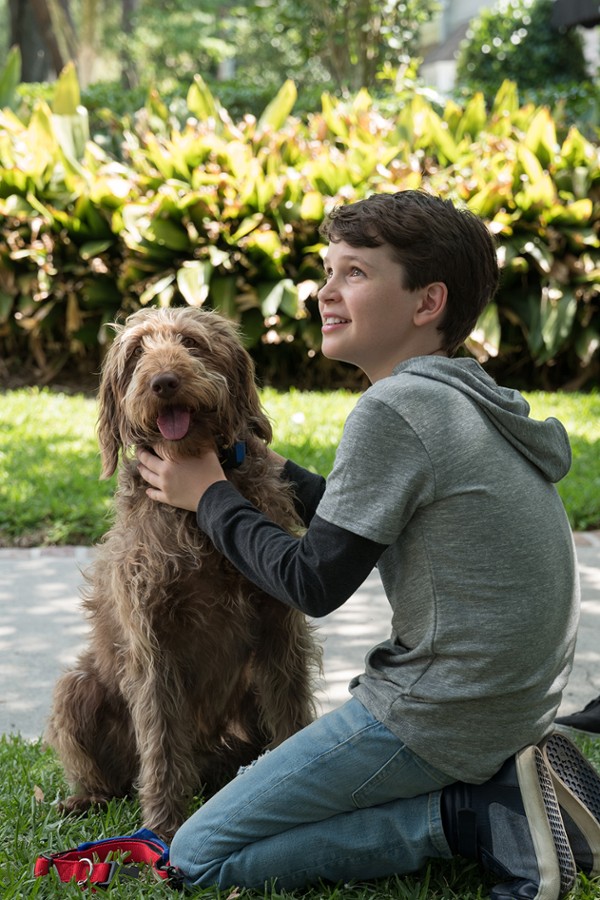 Filmowe Ferie - Bilet 14zł: Jak rozmawiać z psem