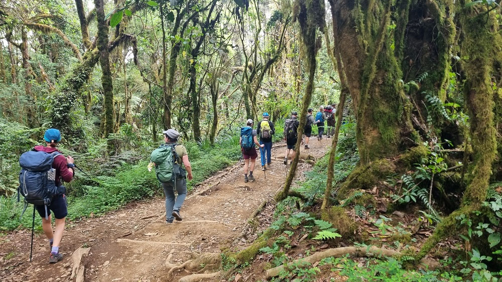Slajdy podróżnicze: Kilimandżaro i Mount Meru – Hakuna Matata! Monika Witkowska