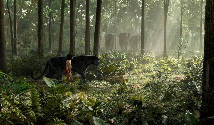 Filmowe Lato - Bilet 10 zł: Księga dżungli