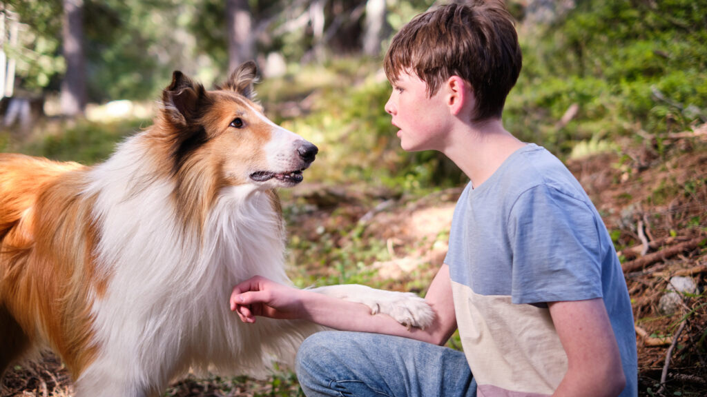 Bajkoranki: Lassie. Nowe przygody - dubbing