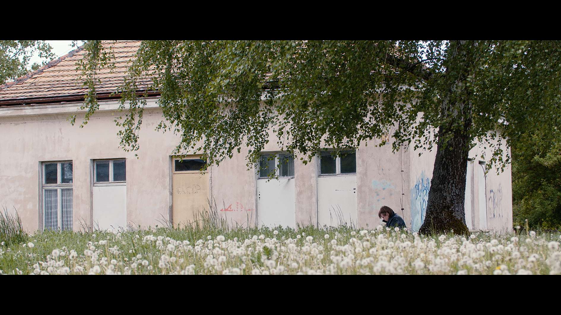 LET’S DOC: Posłuchaj, co chcę Ci powiedzieć + spotkanie