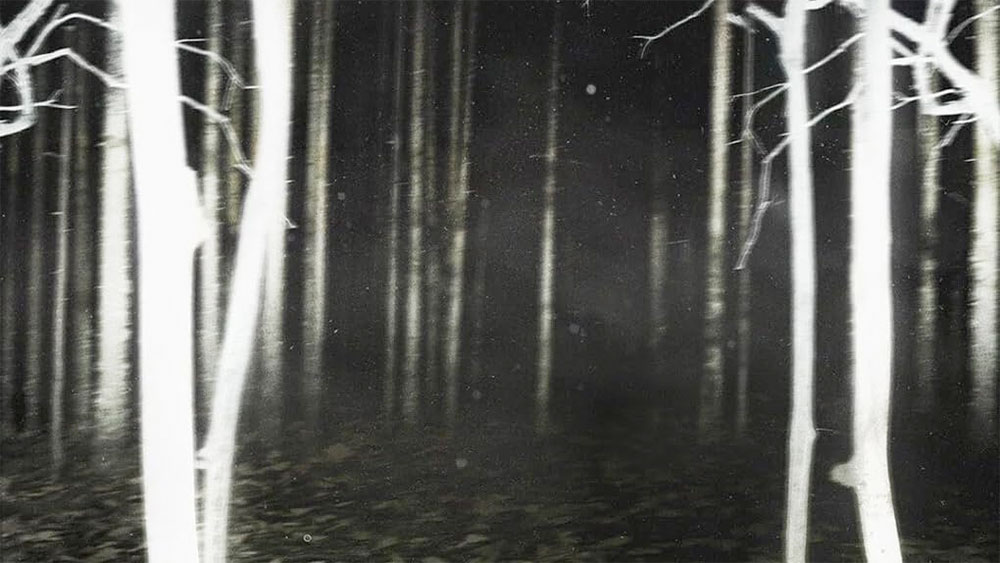 Maraton Halloween: MIASTECZKO SHELBY OAKS  i GOOD BOY