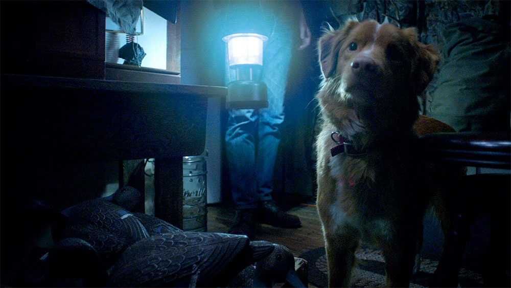 Maraton Halloween: MIASTECZKO SHELBY OAKS  i GOOD BOY
