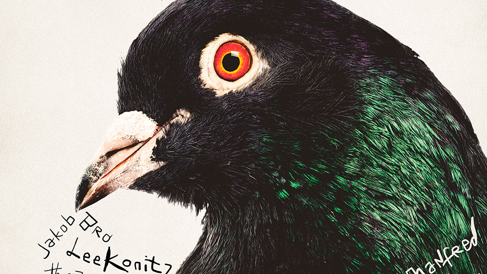 20. MDAG: Muzyka dla czarnych gołębi